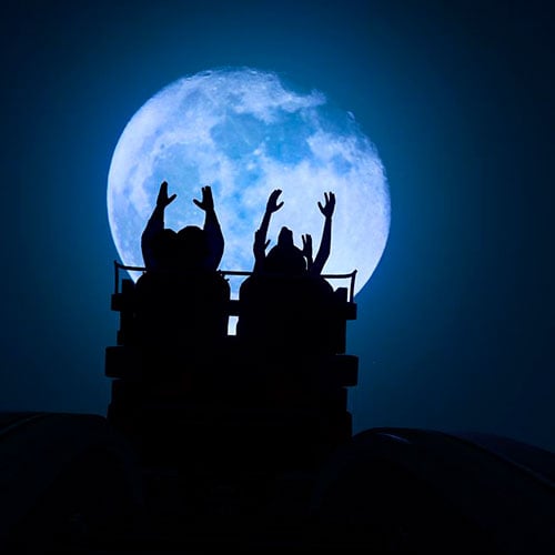 Planet Coaster Cd Key Steam ROW